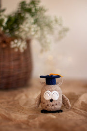 Amigurumi Pattern crochet Owl in hat