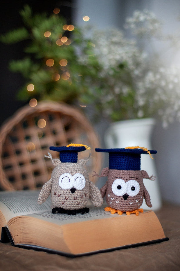 Amigurumi Pattern crochet Owl in hat