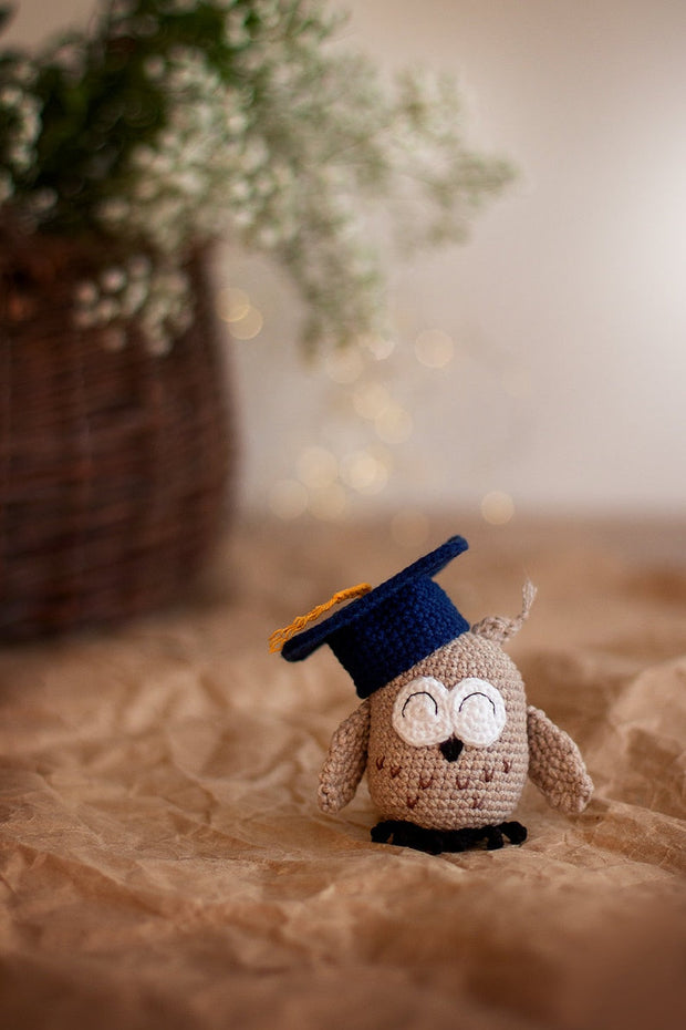 Amigurumi Pattern crochet Owl in hat