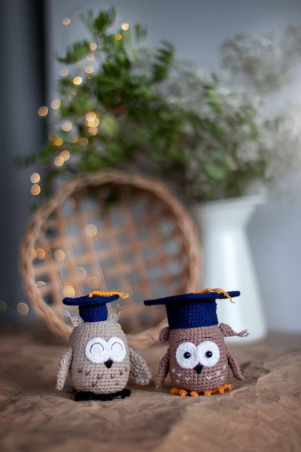 Amigurumi Pattern crochet Owl in hat