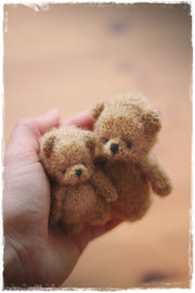 Small Teddy Bear for the newborn sessions