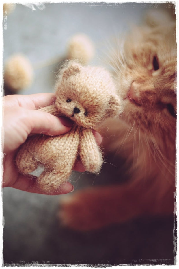 Small Teddy Bear for the newborn sessions