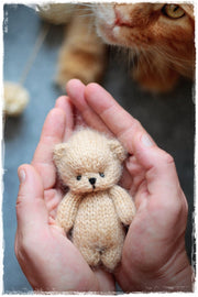 Small Teddy Bear for the newborn sessions