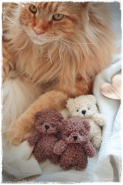 Small Teddy Bear for the newborn sessions